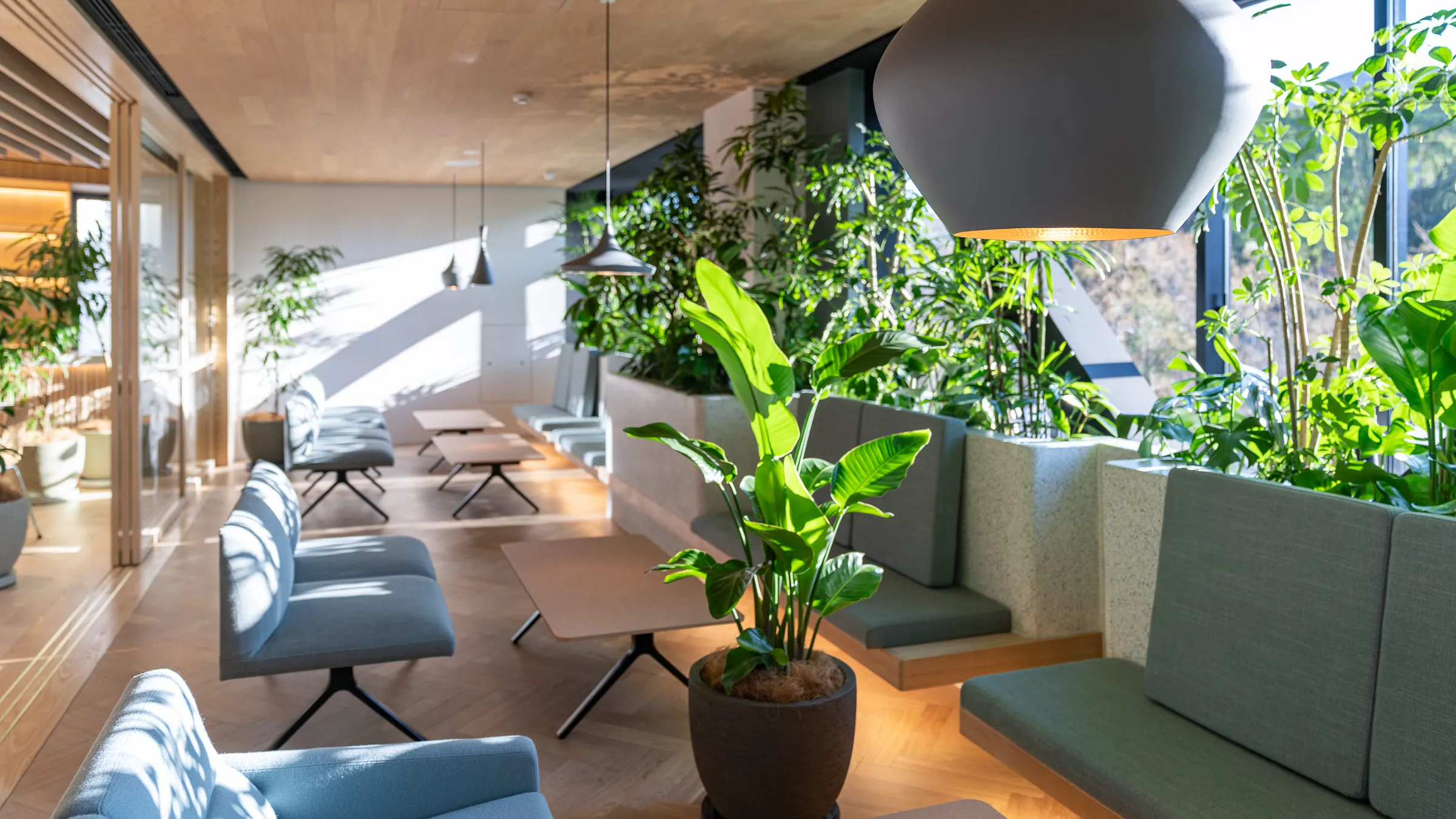 Doctors' Lounge — 1