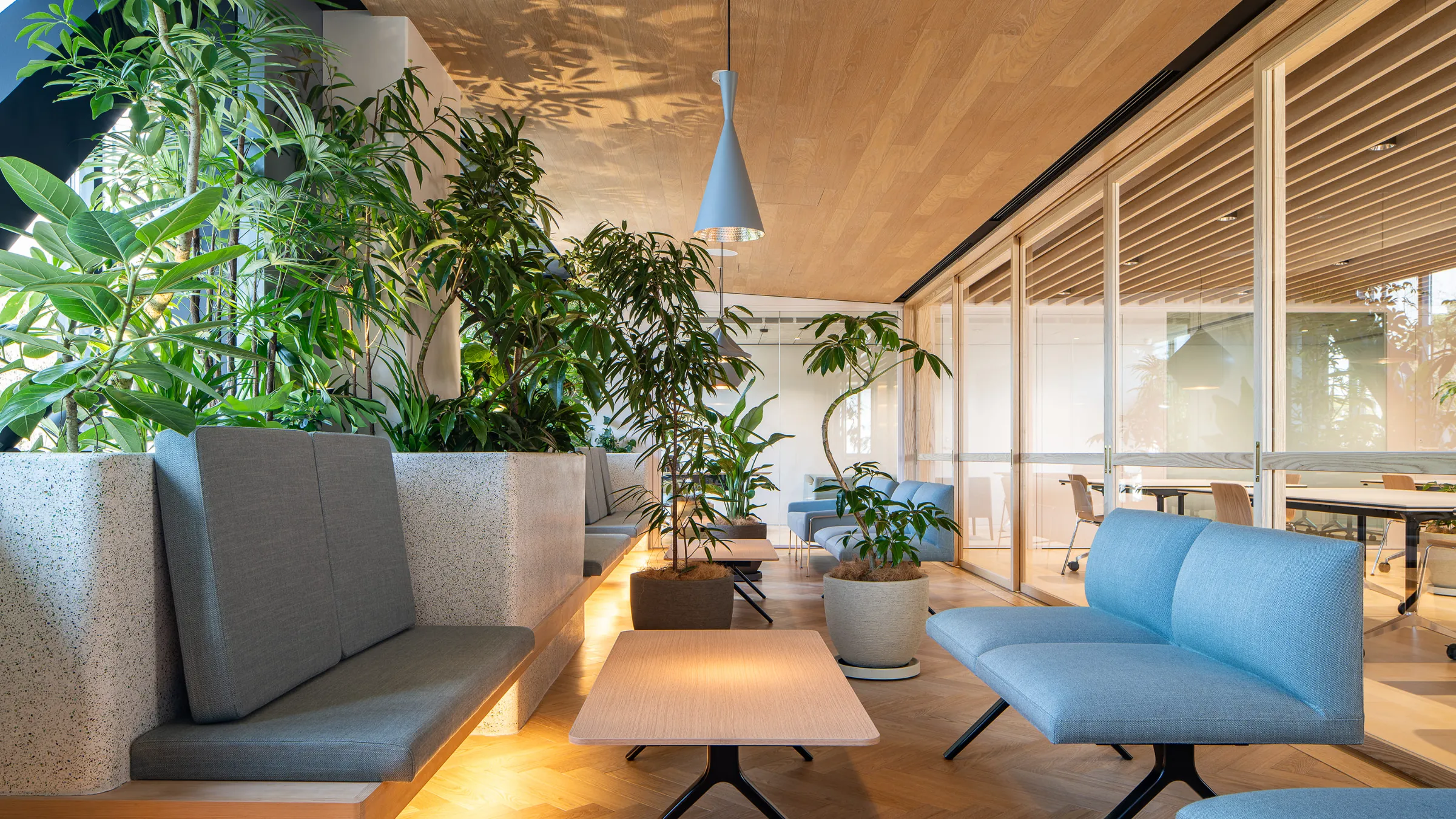 Doctors' Lounge — 6