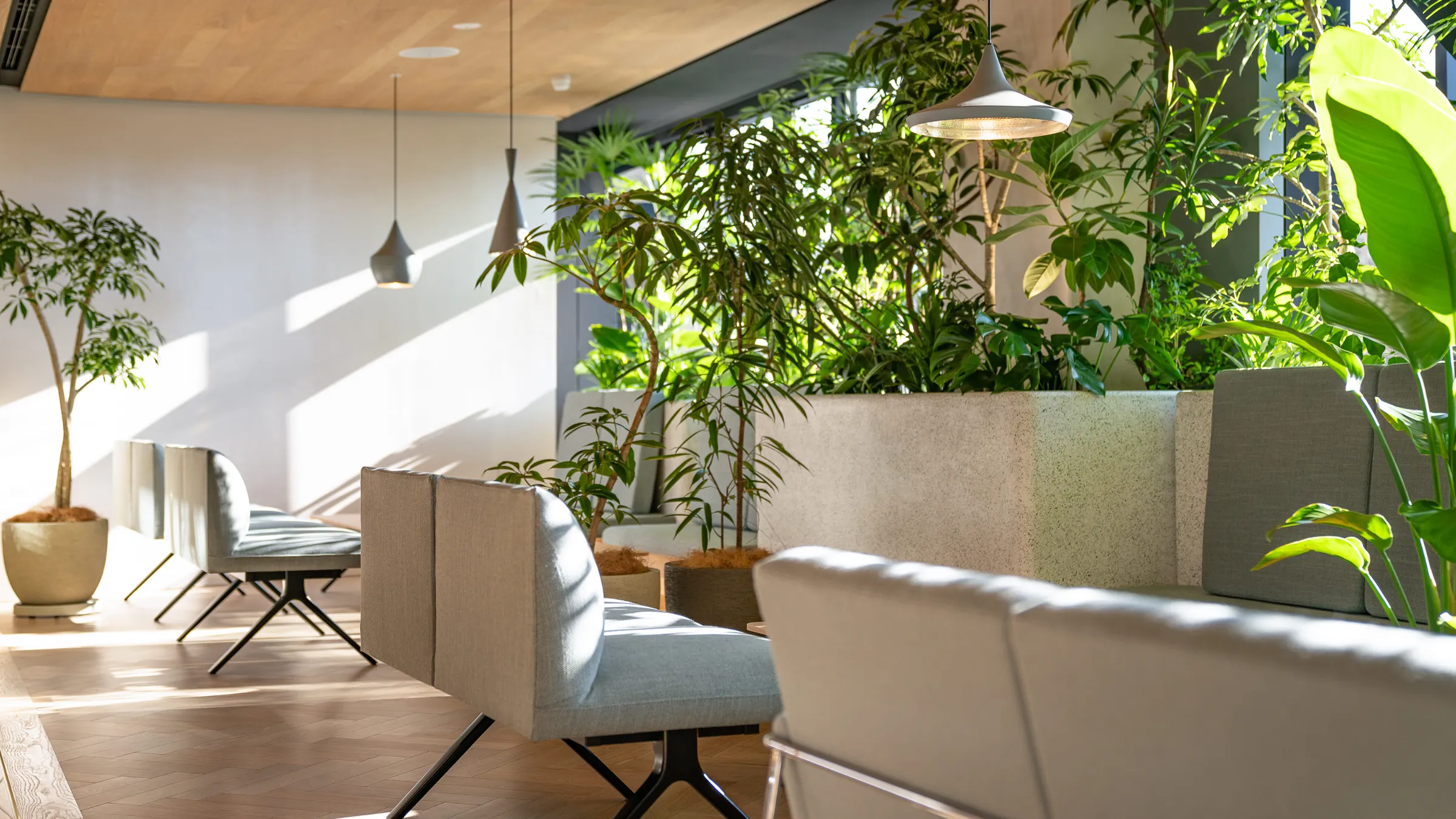 Doctors' Lounge — 7