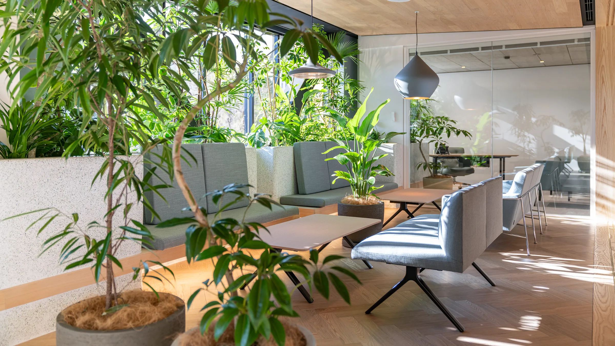 Doctors' Lounge — 8