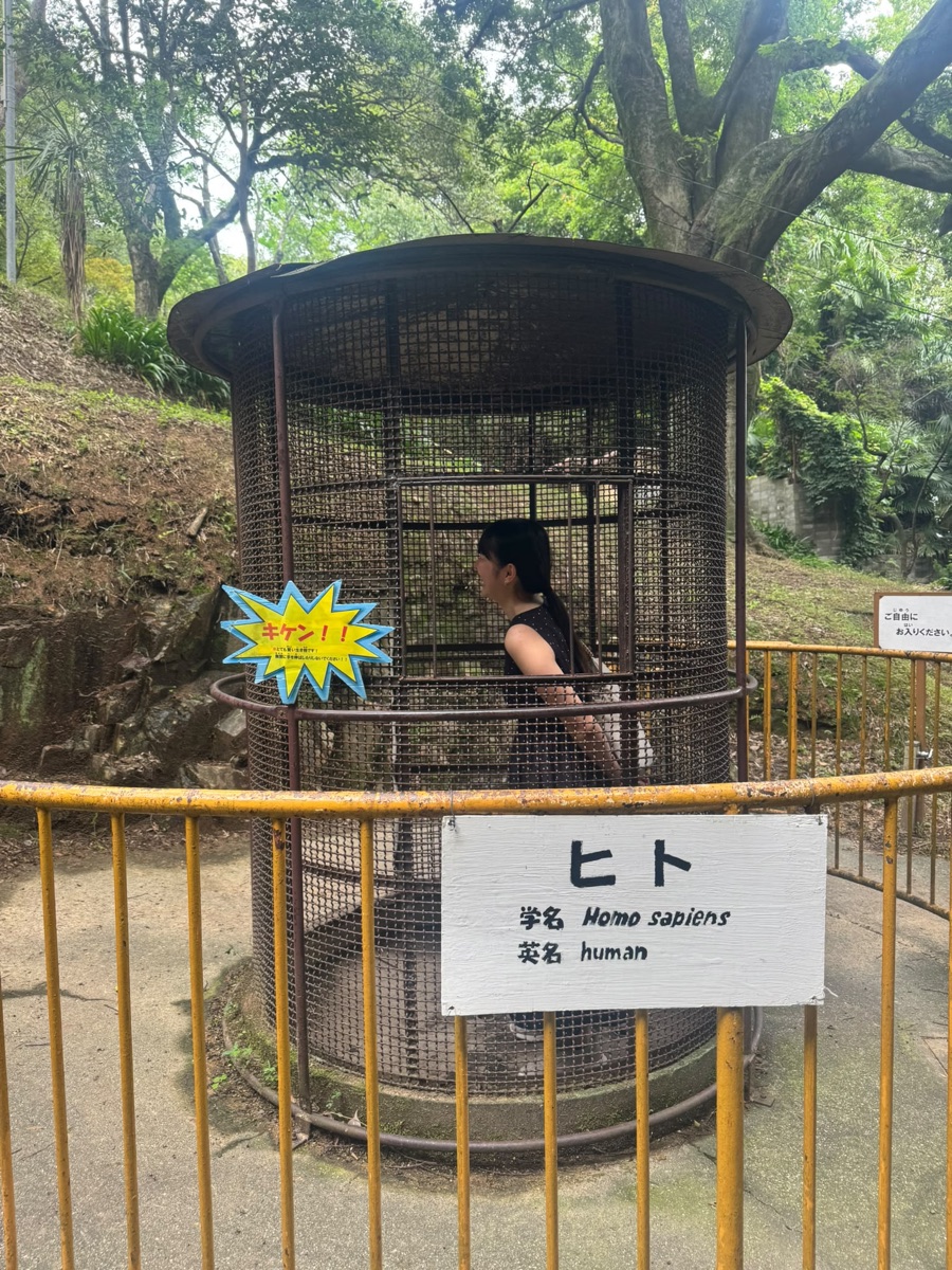 動物園の『ヒト』展示の檻に入って笑うMiku
